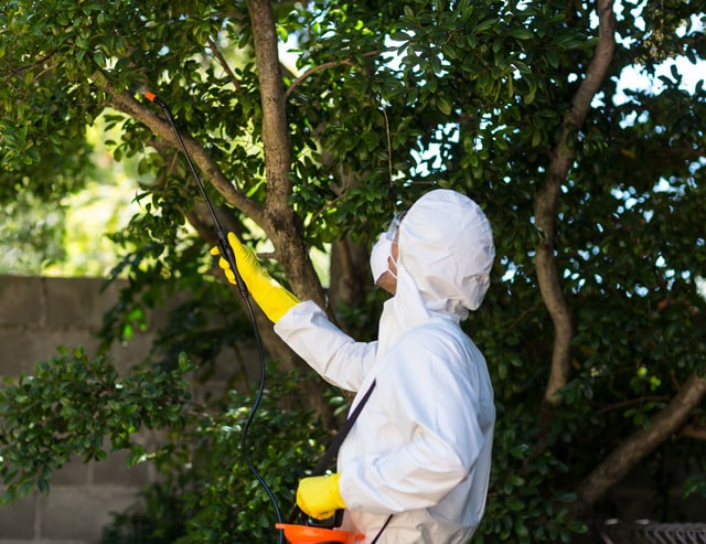 pest control wetherill park