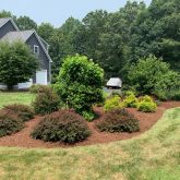 The science behind mulch and its effects on plant root systems 