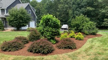 The science behind mulch and its effects on plant root systems 