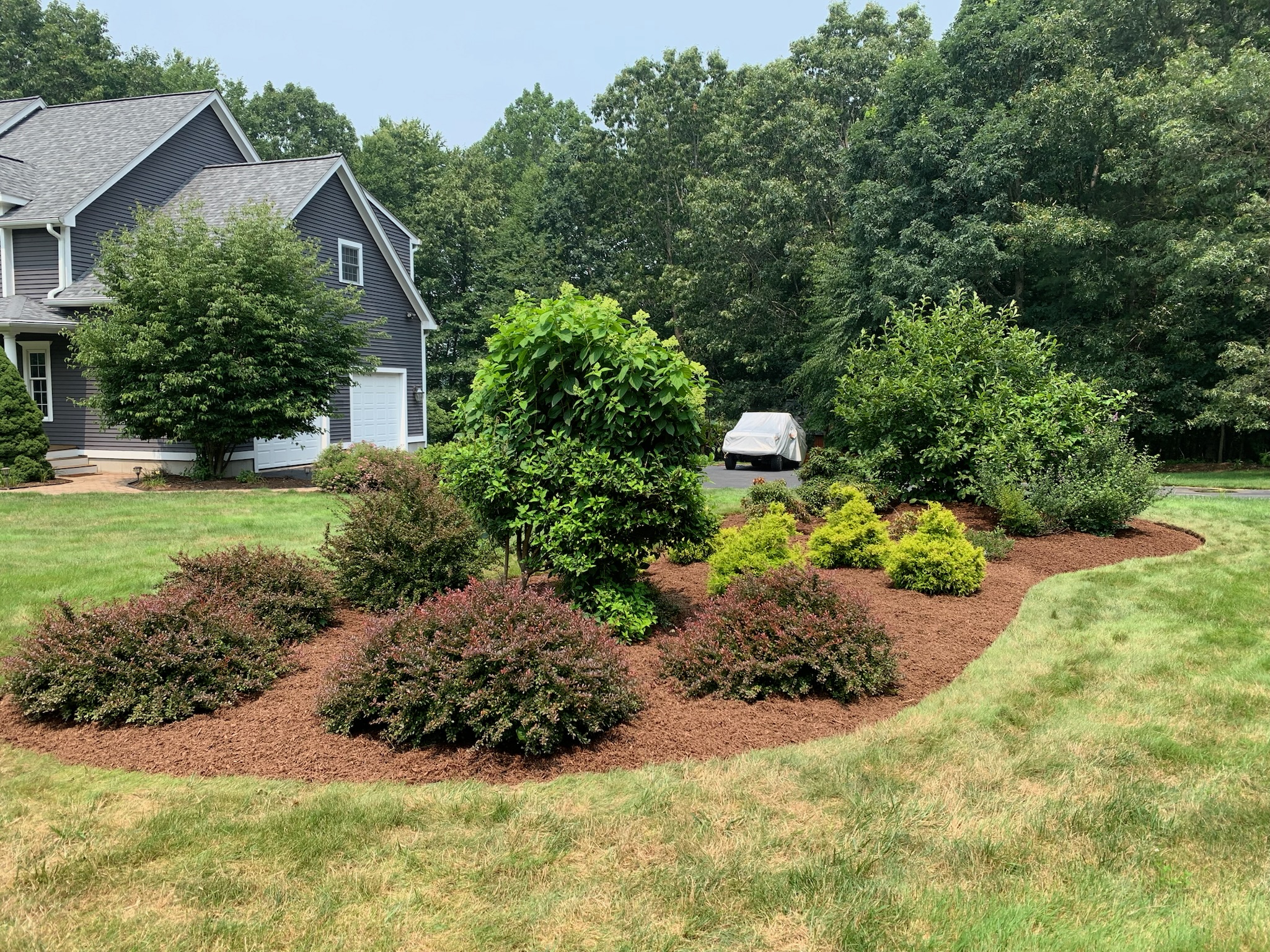 The science behind mulch and its effects on plant root systems 